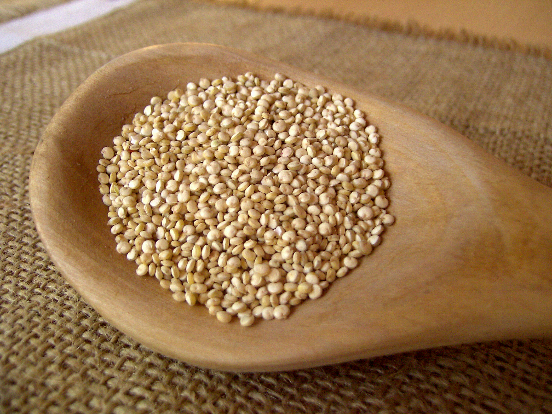 Quinoa Homepage von Dr. Uwe Siedentopp in Kassel